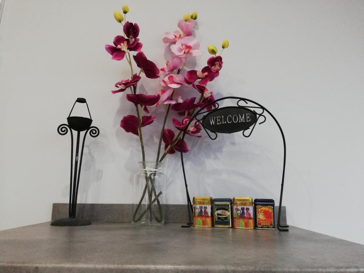 Pannonia Center Deluxe Apartament Budapeszt